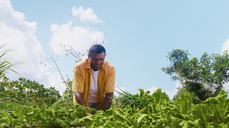 Programa Garantia-Safra está com inscrições abertas para ano agrícola 24/25