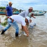 Feira dos Municípios Alagoanos: Codevasf apresenta programas e projetos federais de desenvolvimento regional