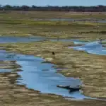 CNM alerta para impactos da seca no Nordeste e reforça apoio aos Municípios atingidos