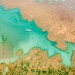 Projeto Corais de Alagoas avança no litoral do Estado