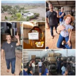 A cachaça de Quebrangulo que carrega a alma de Alagoas em cada gota