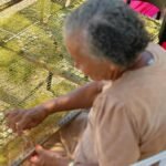 Dia Nacional do Artesão: Alagoas celebra protagonismo feminino, visibilidade internacional e novos avanços