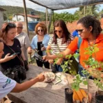 Sebrae impulsiona novas rotas e reposiciona o turismo em Alagoas