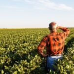 Prazo para envio do VTN termina em 30 de abril; CNM alerta os gestores