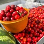 Portaria habilita Municípios para recebimento de incentivo financeiro voltado à alimentação e nutrição na APS