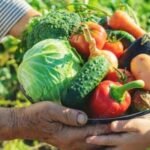 MPAL reforça importância de adesão de municípios ao Sistema Nacional de Segurança Alimentar e Nutricional
