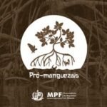 Pró-Manguezais promove ações comemorativas ao Dia do Mangue em municípios de Alagoas
