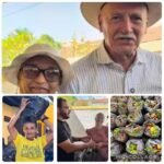 Comida na mesa: 300 famílias de Quebrangulo são beneficiadas pelo Programa de Aquisição de Alimentos