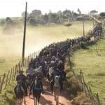 1ª Cavalgada da Independência reúne centenas de participantes e movimenta Belém