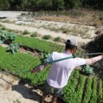 Mais de 100 mil produtores rurais com perdas de safra podem renegociar dívidas com o Banco do Nordeste