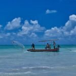 Pesca Artesanal: seleção pública vai destinar R$ 120 milhões para projetos de inovação