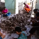 Produtores rurais de municípios recebem orientação para impactos climáticos do El Niño